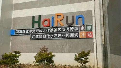 著力優(yōu)化營商環(huán)境,加速壯大海灣經(jīng)濟(jì)