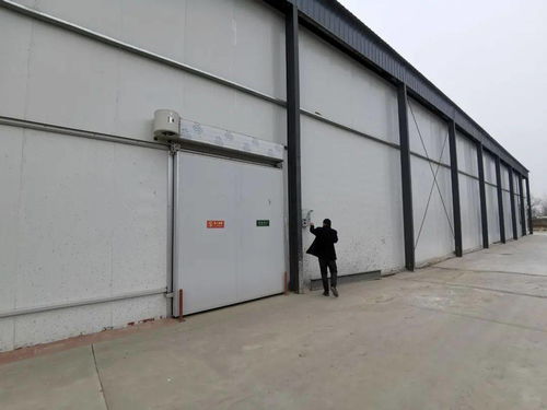 莘縣農產品冷鏈倉儲物流項目助力鄉村振興