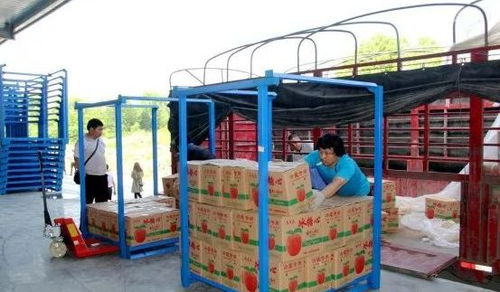 永州嘉信冷鏈倉儲物流中心正式開業(yè)，助推區(qū)域物流體系升級